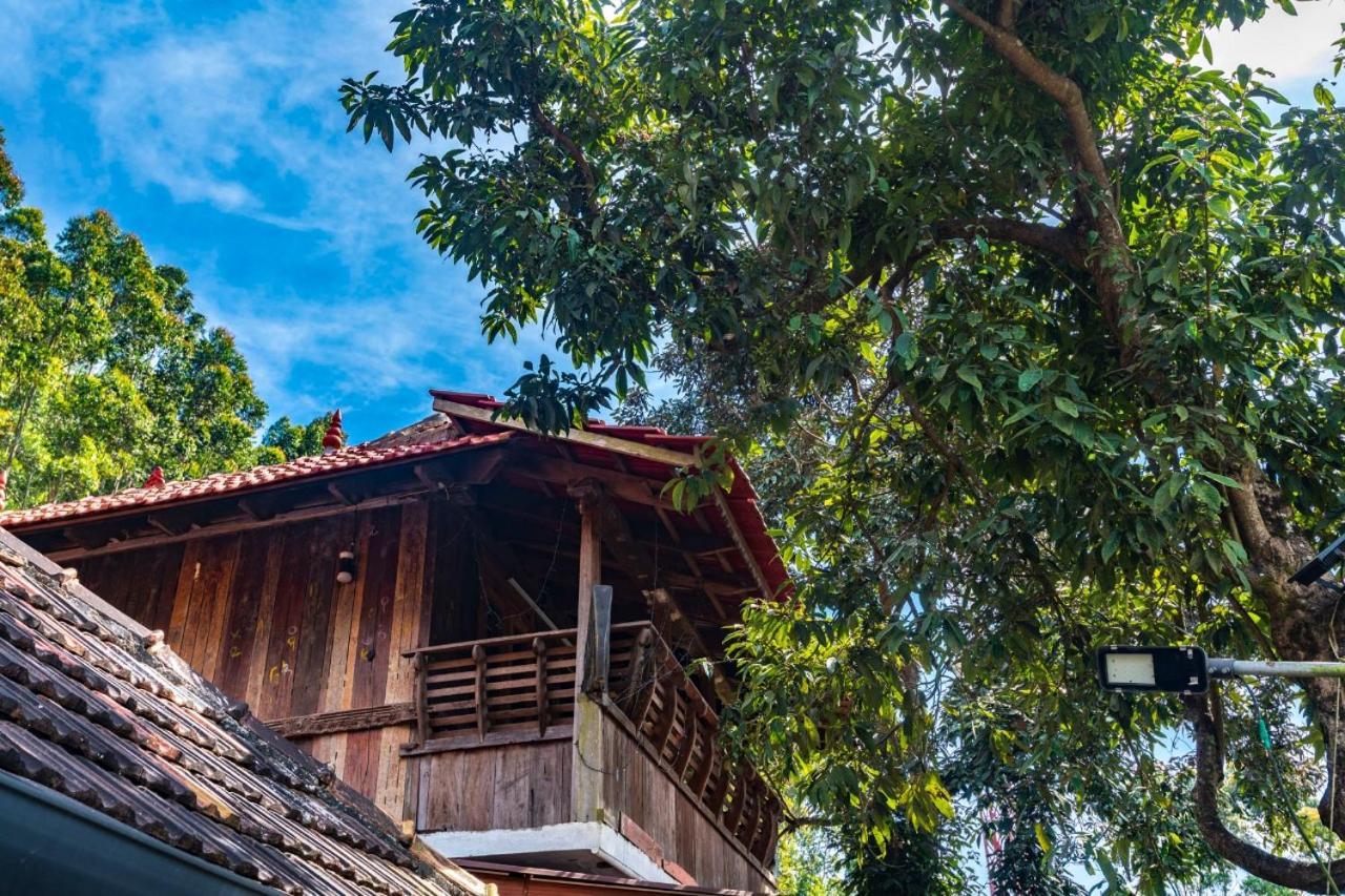 Castillo De Woods , The Private Luxury Villa , 8 Bhk, Vattavada Kottakamboor Екстер'єр фото
